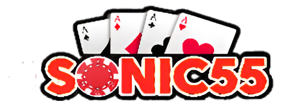 SONIC55 logo